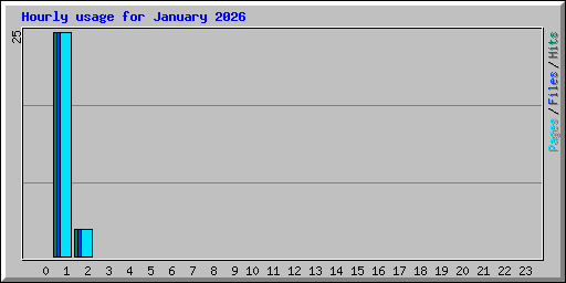 Hourly usage for January 2026