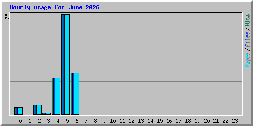 Hourly usage for June 2026